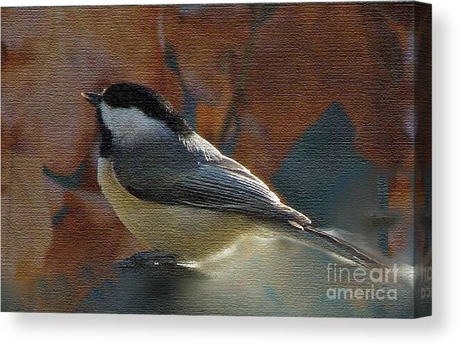 Black Capped Chickadee Canvas Print featuring the photograph Chickadee in Autumn #2 by Janette Boyd