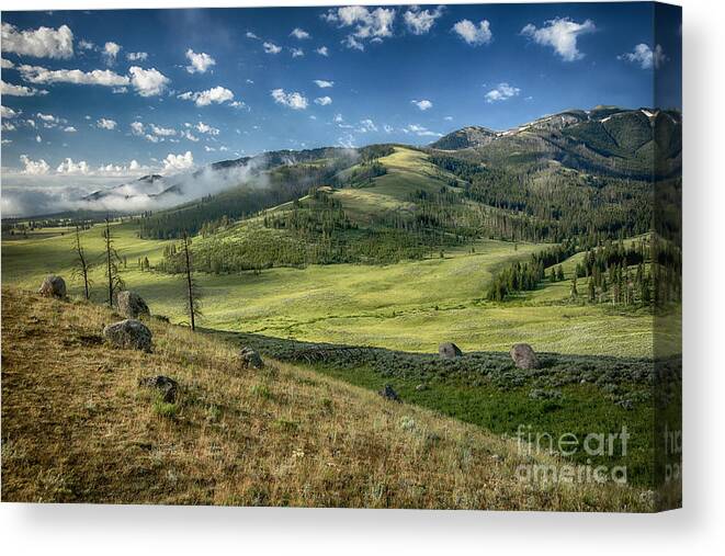 Yellowstone Canvas Print featuring the photograph Down in the Valley #2 by Claudia Kuhn