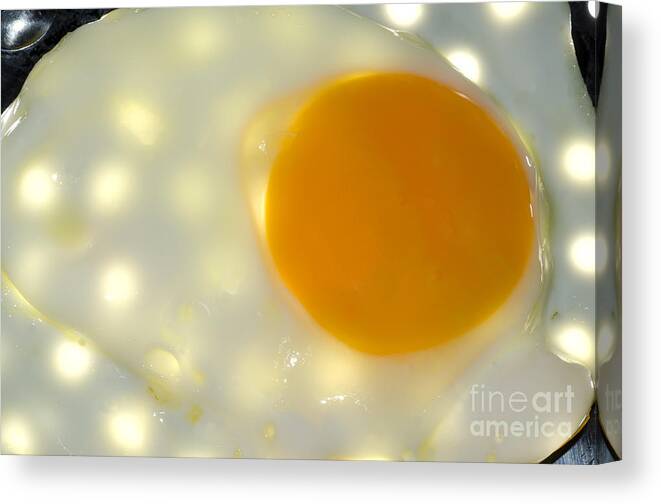 Egg Canvas Print featuring the photograph Egg #2 by Mats Silvan