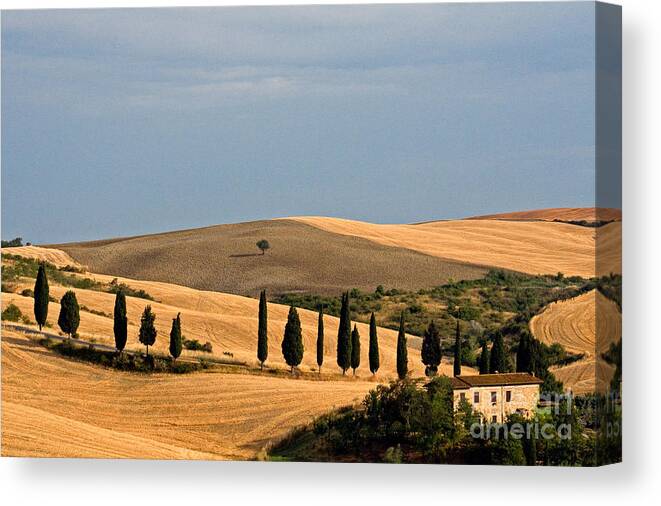 Hill Canvas Print featuring the photograph Farmhouse, Tuscany, Italy #2 by Tim Holt