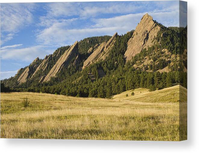 'boulder Photos' Canvas Print featuring the photograph Flatirons with Golden Grass Boulder Colorado by James BO Insogna