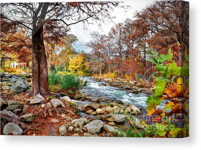 Gruene Canvas Print featuring the photograph Guadalupe #4 by Savannah Gibbs