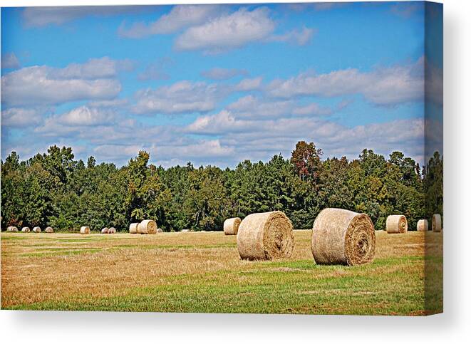 Hay Canvas Print featuring the photograph Hay Field #2 by Linda Brown