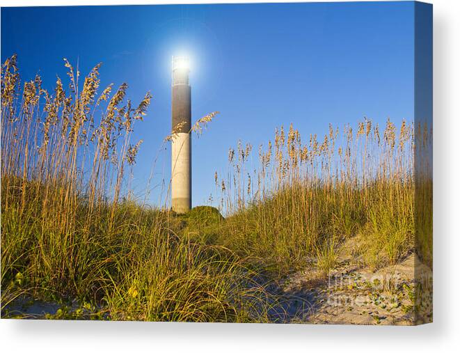 Lighthouse Canvas Print featuring the photograph Oak Island Southport North Carolina Lighthouse through the Cassw #2 by ELITE IMAGE photography By Chad McDermott
