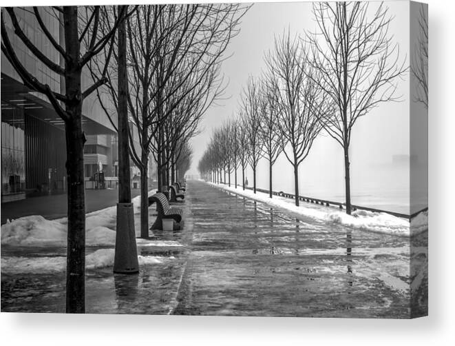 Landscape Canvas Print featuring the photograph Path Through Fog by Nicky Jameson
