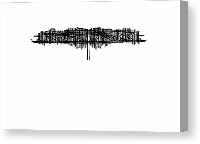 Lines Canvas Print featuring the drawing Random Lines by Andy Mercer