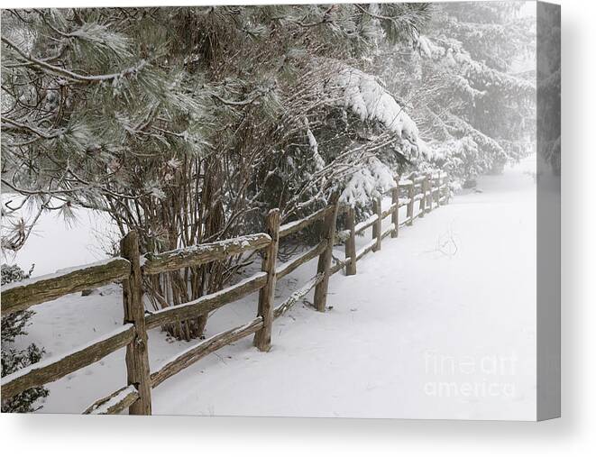 Winter Canvas Print featuring the photograph Rural winter scene with fence 3 by Elena Elisseeva