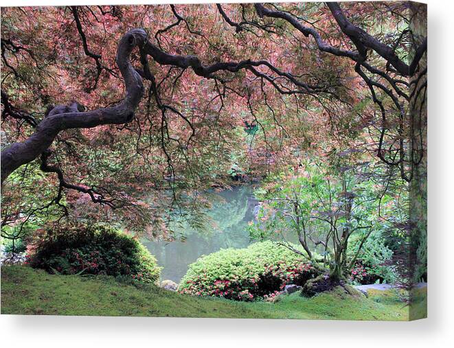 Japanese Maple Tree Canvas Print featuring the photograph Serenity by Athena Mckinzie