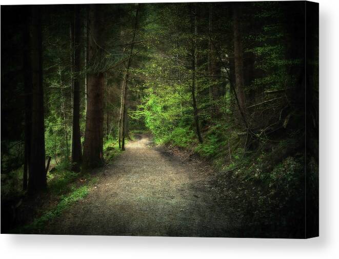 Beautiful Canvas Print featuring the digital art Through the Woods #2 by Svetlana Sewell