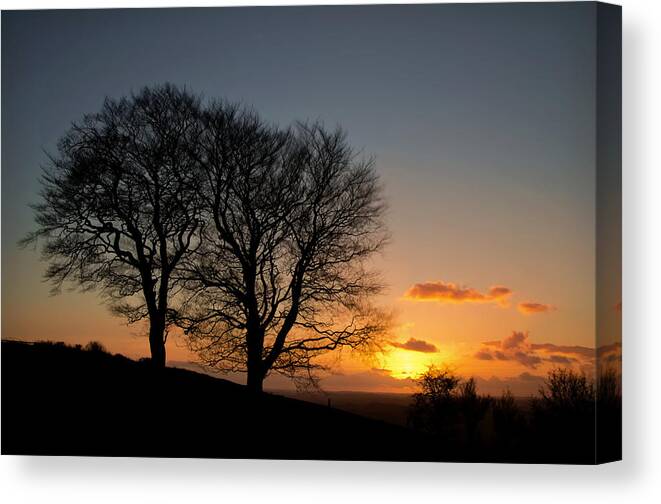Raddon Top Canvas Print featuring the photograph Trees on Raddon Top #2 by Pete Hemington