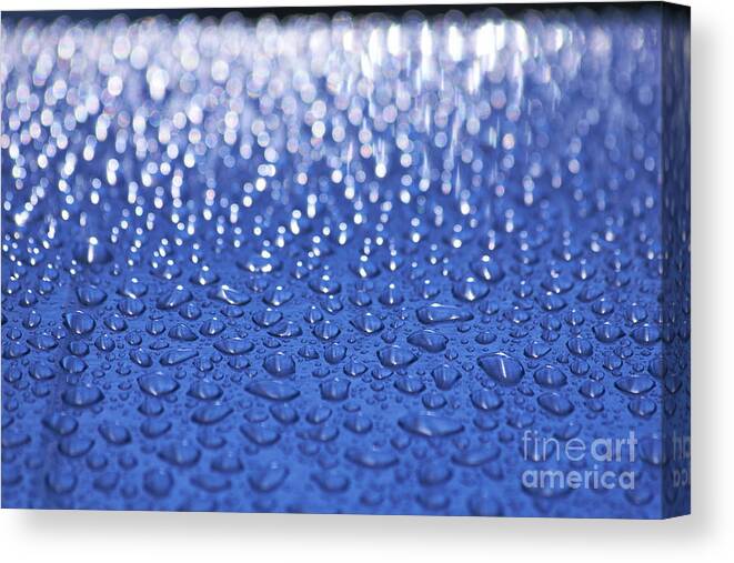 Water Canvas Print featuring the photograph Water drops #2 by Tony Cordoza