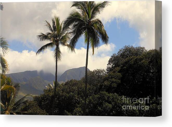 Landscape Canvas Print featuring the photograph West Maui Mountains by Fred Wilson