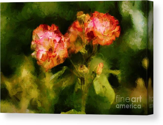 Wild Canvas Print featuring the photograph Wild Rose #3 by Dariusz Gudowicz