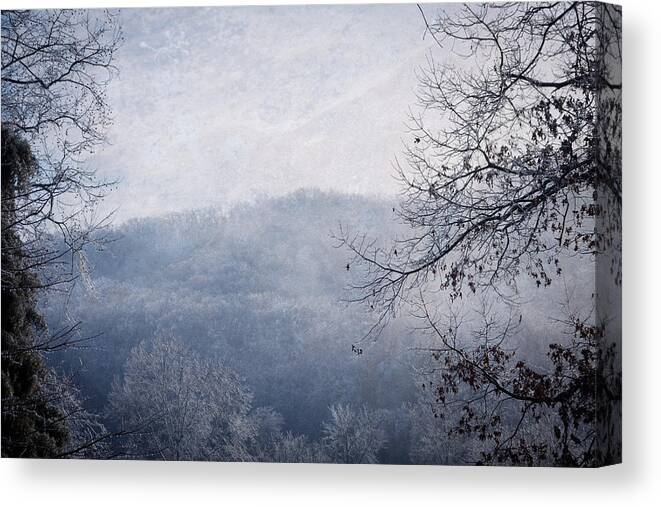 Ice Storm Canvas Print featuring the photograph Winter Landscape #2 by Melinda Fawver