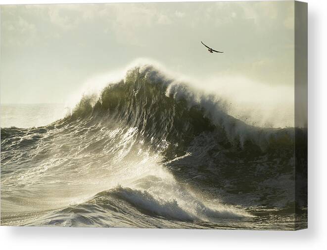 Photography Canvas Print featuring the photograph Waves In The Pacific Ocean, San Pedro #23 by Panoramic Images