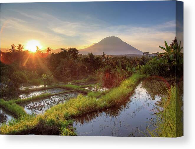 Tranquility Canvas Print featuring the photograph Indonesia, Bali, Rice Fields And #3 by Michele Falzone