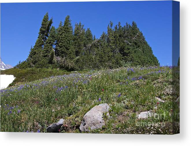 Photography Canvas Print featuring the photograph Mount Rainier Wildflowers #3 by Sean Griffin
