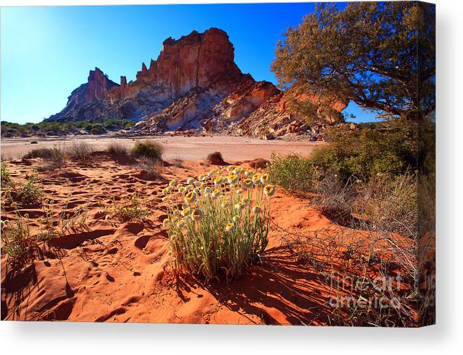 Rainbow Valley Sunrise Outback Landscape Central Australia Water Hole Northern Territory Australian Clay Pan Canvas Print featuring the photograph Rainbow Valley by Bill Robinson