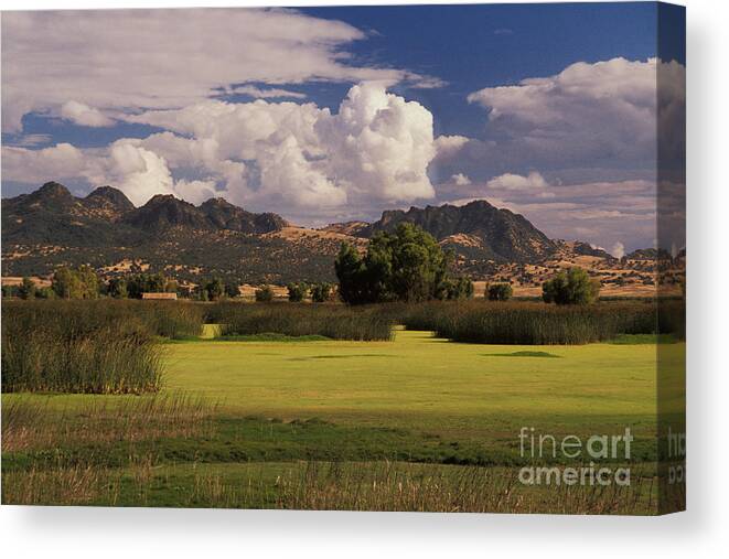 Landscape Canvas Print featuring the photograph Sutter Butte Mountains #3 by Ron Sanford