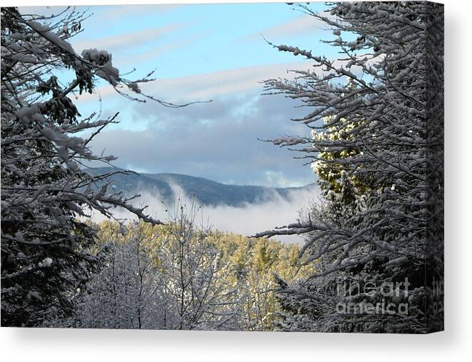 Mountains Canvas Print featuring the photograph Through The Trees #3 by Deena Withycombe