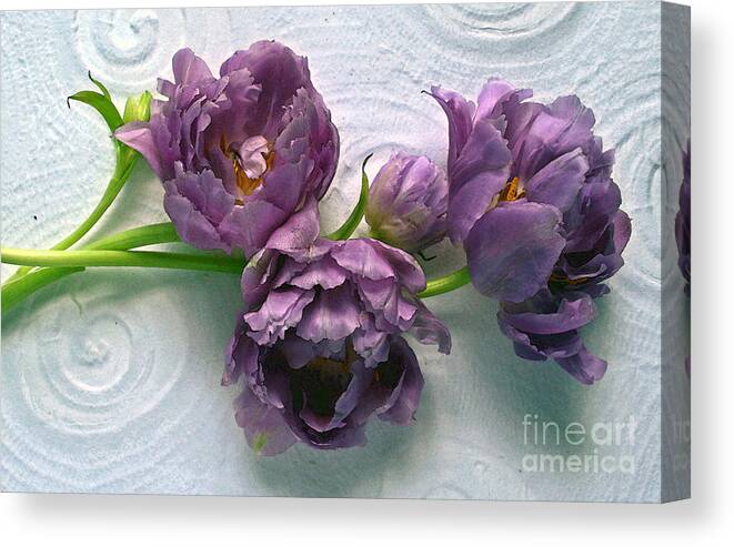 Purple Tulips Canvas Print featuring the photograph Tulips #3 by Margaret Hood