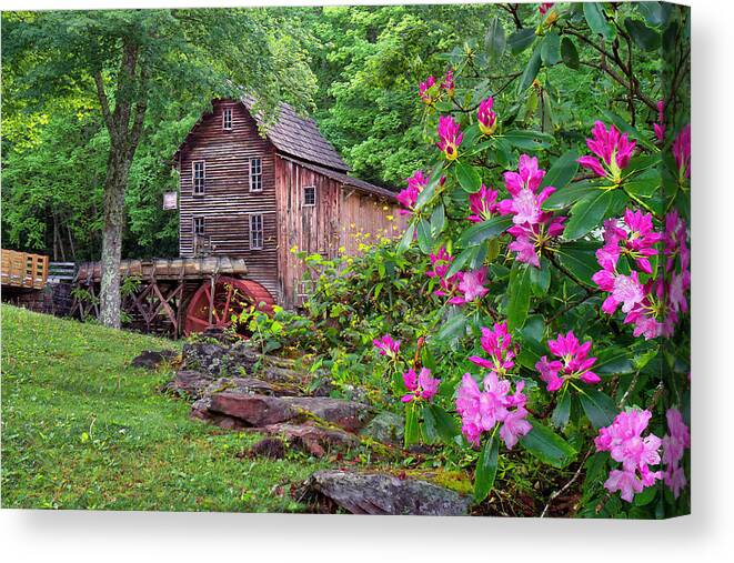 Babcock State Park Canvas Print featuring the photograph Babcock State Park #4 by Mary Almond