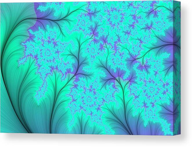 Fractal Canvas Print featuring the photograph Fractal Pattern #4 by Tony Craddock/science Photo Library
