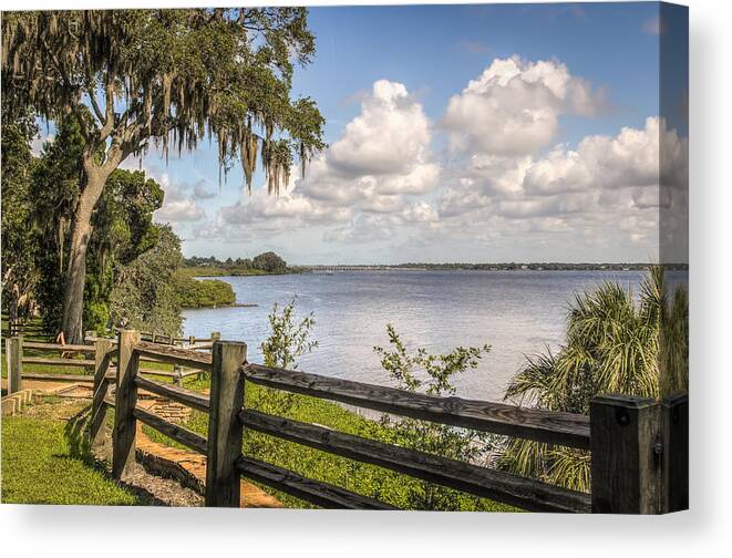 Florida Canvas Print featuring the photograph Philippe Park #4 by Jane Luxton