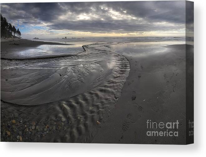 Ruby Canvas Print featuring the photograph Ruby Beach #4 by Twenty Two North Photography