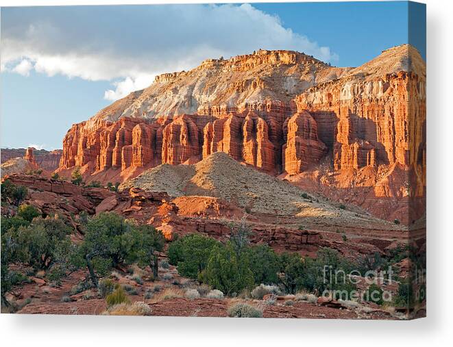 Autumn Canvas Print featuring the photograph The Goosenecks Capitol Reef National Park #4 by Fred Stearns