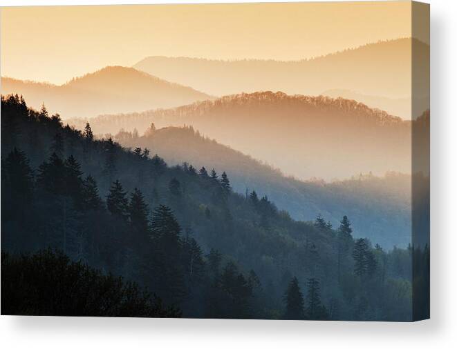 Beige Canvas Print featuring the photograph USA, North Carolina #42 by Jaynes Gallery