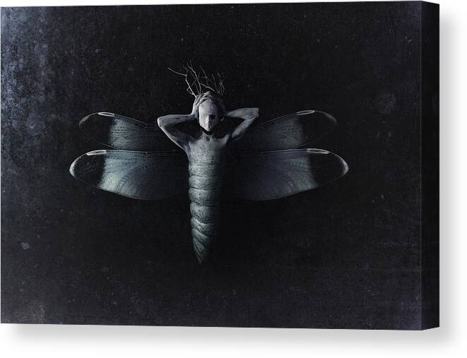 Moth Canvas Print featuring the photograph The Moth by Victor Slepushkin