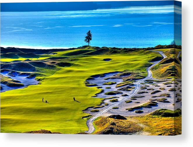 #5 At Chambers Bay Golf Course - Location Of The 2015 U.s. Open Tournament Canvas Print featuring the photograph #5 at Chambers Bay Golf Course - Location of the 2015 U.S. Open Tournament #5 by David Patterson