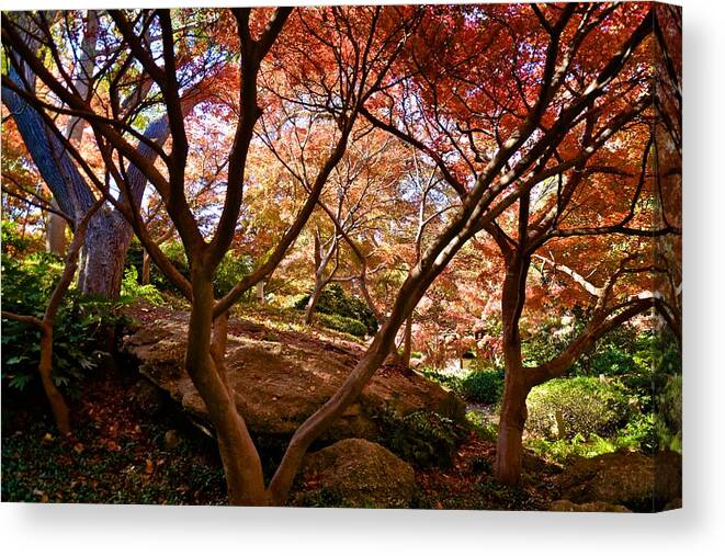 Japanese Gardens Canvas Print featuring the photograph Japanese Gardens #5 by Ricardo J Ruiz de Porras