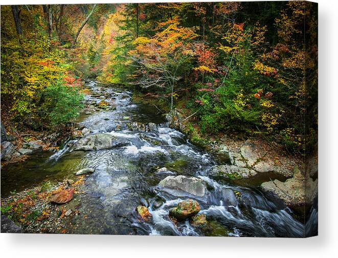 Stream Canvas Print featuring the photograph Stream Great Smoky Mountains Painted #4 by Rich Franco