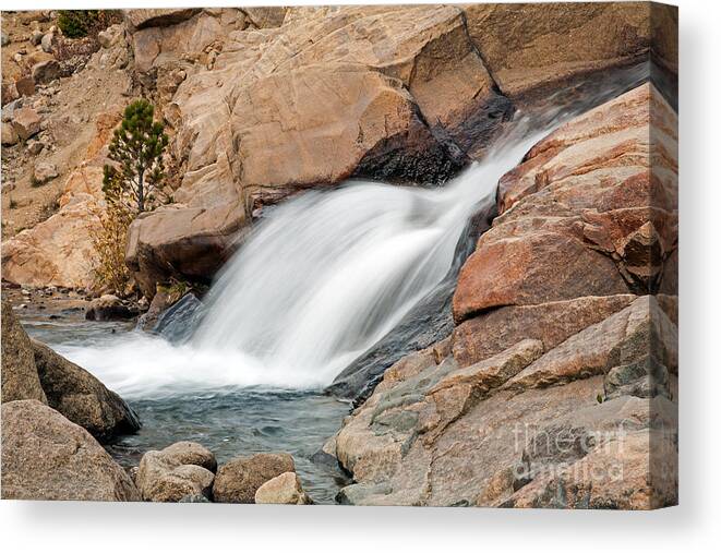 Alluvial Fan Canvas Print featuring the photograph Alluvial Fan Falls on Roaring River in Rocky Mountain National Park #6 by Fred Stearns