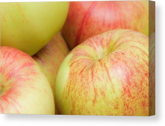 Apples Canvas Print featuring the photograph Apples #6 by Tom Gowanlock