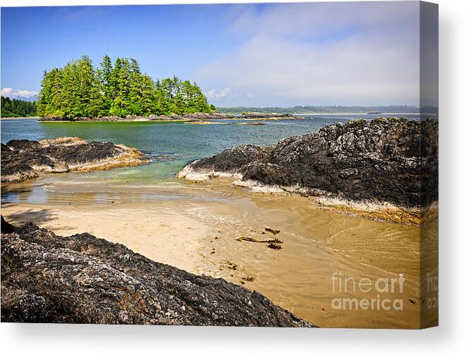 Pacific Canvas Print featuring the photograph Coast of Pacific ocean on Vancouver Island 2 by Elena Elisseeva