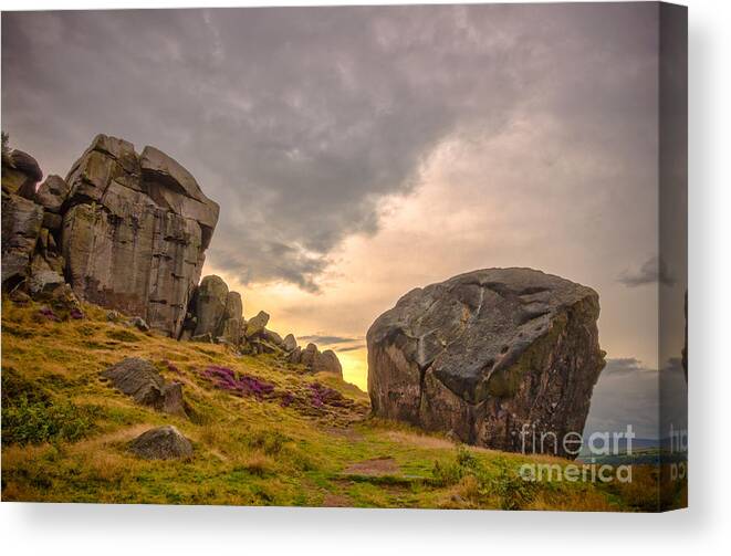 Airedale Canvas Print featuring the photograph Cow and Calf Rocks #6 by Mariusz Talarek
