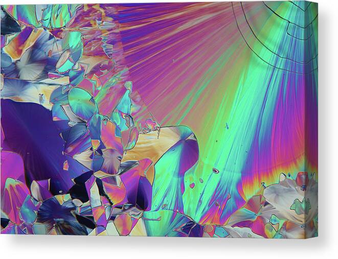 Biochemical Canvas Print featuring the photograph Dopamine Crystals #6 by Karl Gaff / Science Photo Library