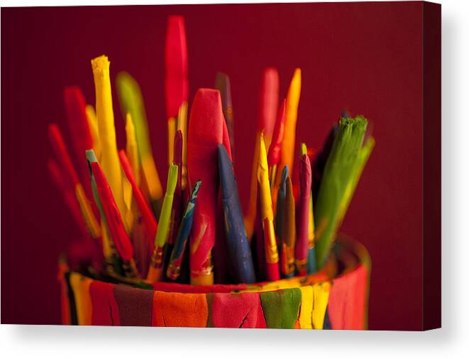 Art Canvas Print featuring the photograph Multi colored paint brushes #6 by Jim Corwin