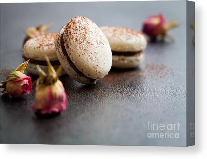 Macaron Canvas Print featuring the photograph French macaroons #7 by Kati Finell