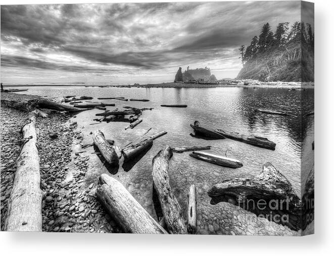 Ruby Canvas Print featuring the photograph Ruby Beach #7 by Twenty Two North Photography