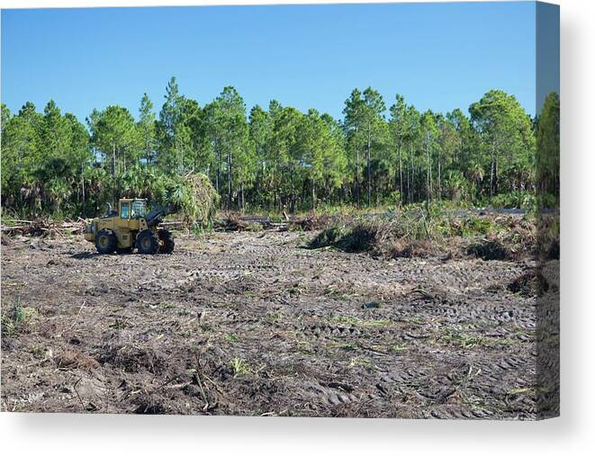 Environment Canvas Print featuring the photograph Everglades Restoration #8 by Jim West