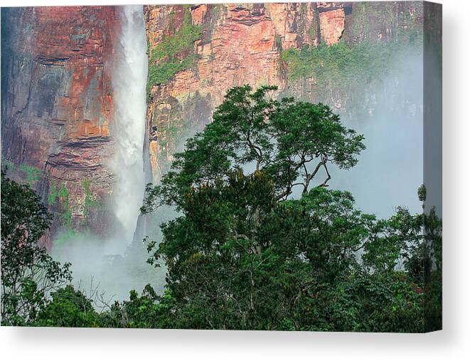 Bolivar State Canvas Print featuring the photograph Angel Falls Is The Highest Waterfall #9 by David Santiago Garcia