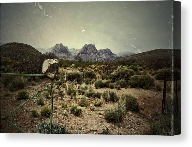 Rusted Canvas Print featuring the photograph A Bucket And A Fence by Mark Ross