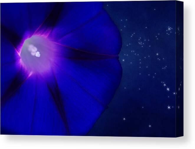 Morning Glory Flower Canvas Print featuring the photograph A Flower In The Cosmic Garden by Marina Kojukhova