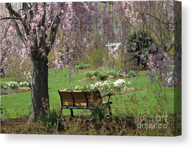 Landscape Canvas Print featuring the photograph A Good Place To Read A Book by Living Color Photography Lorraine Lynch