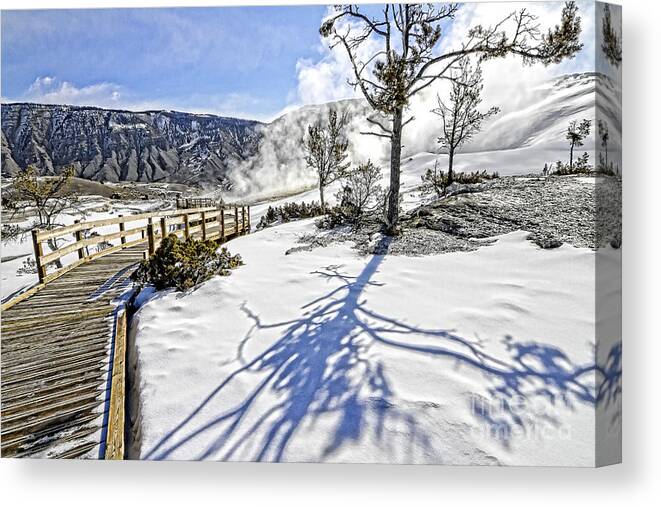 Yellowstone Canvas Print featuring the photograph A Lonely Boardwalk by Jason Abando