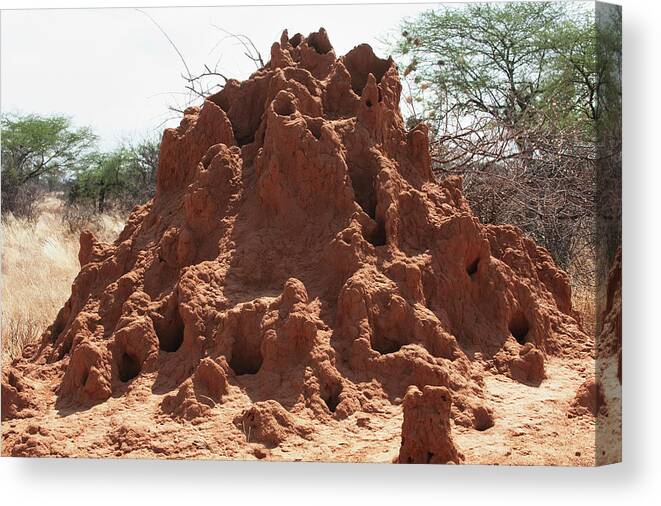 Kenya Canvas Print featuring the photograph A Mound Of Red Dirt With Numerous Holes by Diane Levit / Design Pics